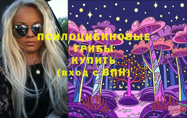ПСИЛОЦИБИНОВЫЕ ГРИБЫ Корсаков