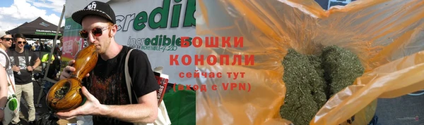 ПСИЛОЦИБИНОВЫЕ ГРИБЫ Корсаков