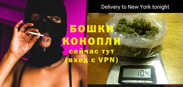 ПСИЛОЦИБИНОВЫЕ ГРИБЫ Корсаков