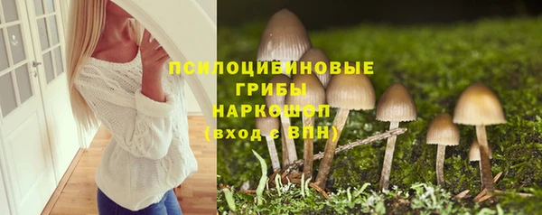 амф Костерёво