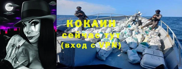 ПСИЛОЦИБИНОВЫЕ ГРИБЫ Корсаков
