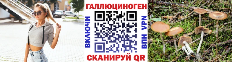 Купить где  Задонск  Псилоцибиновые грибы GOLDEN TEACHER 